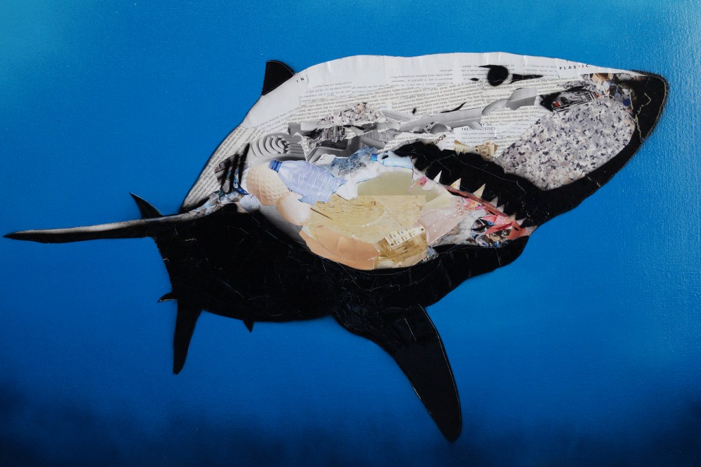 Shark Collage by Chris Swain
