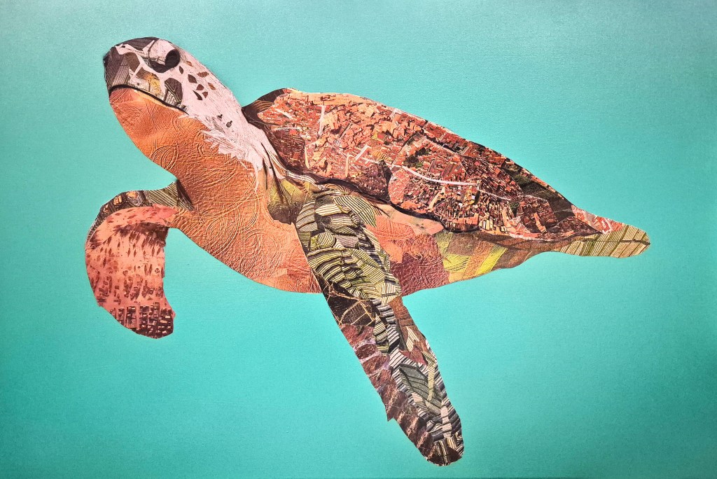Turtle by Chris Swain