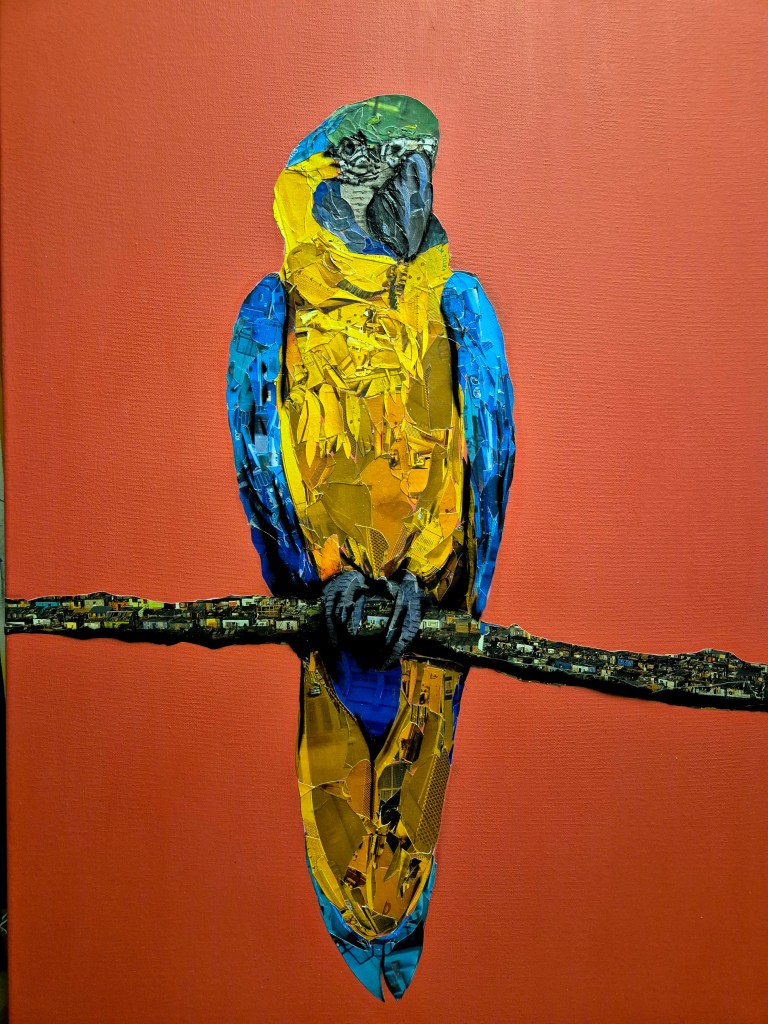 Parrot Collage by Chris Swain